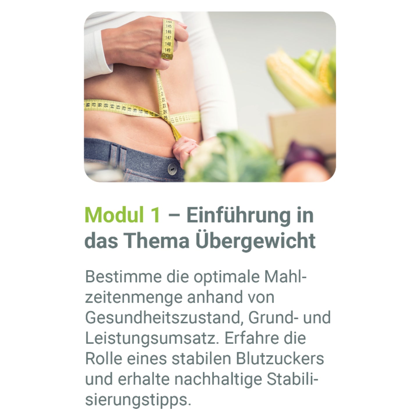 ErnährungsBASICS Onlinekurs – Zertifizierter 8-Wochen Präventionskurs (Krankenkassen-Erstattung)