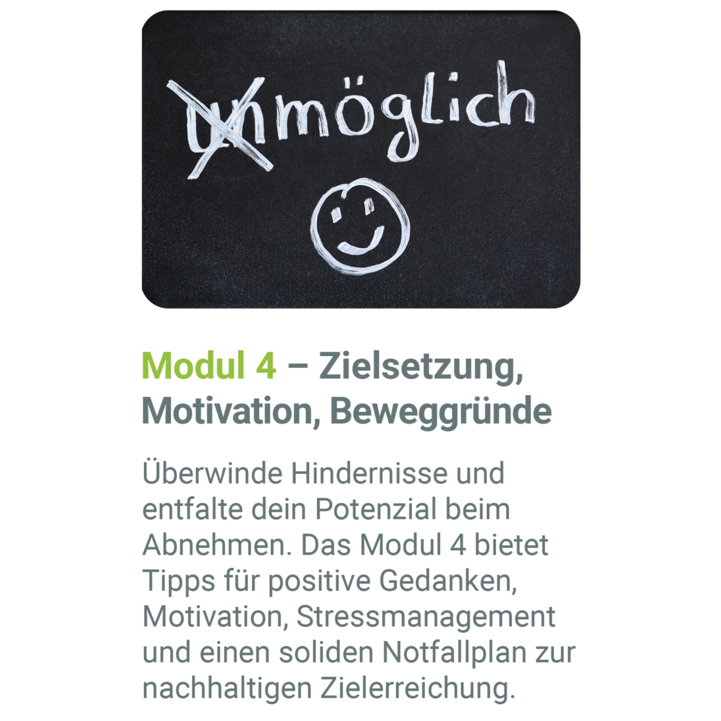 ErnährungsBASICS Onlinekurs – Zertifizierter 8-Wochen Präventionskurs (Krankenkassen-Erstattung)