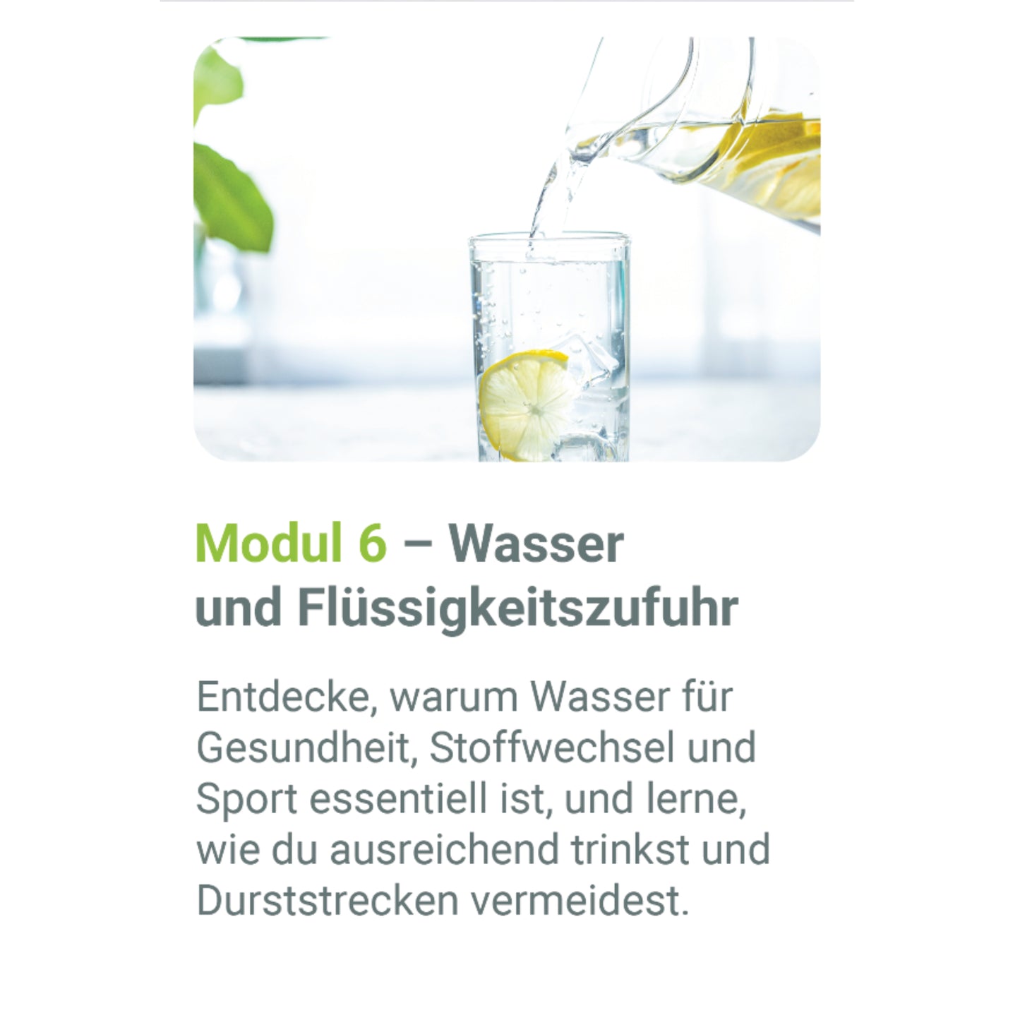 ErnährungsBASICS Onlinekurs – Zertifizierter 8-Wochen Präventionskurs (Krankenkassen-Erstattung)