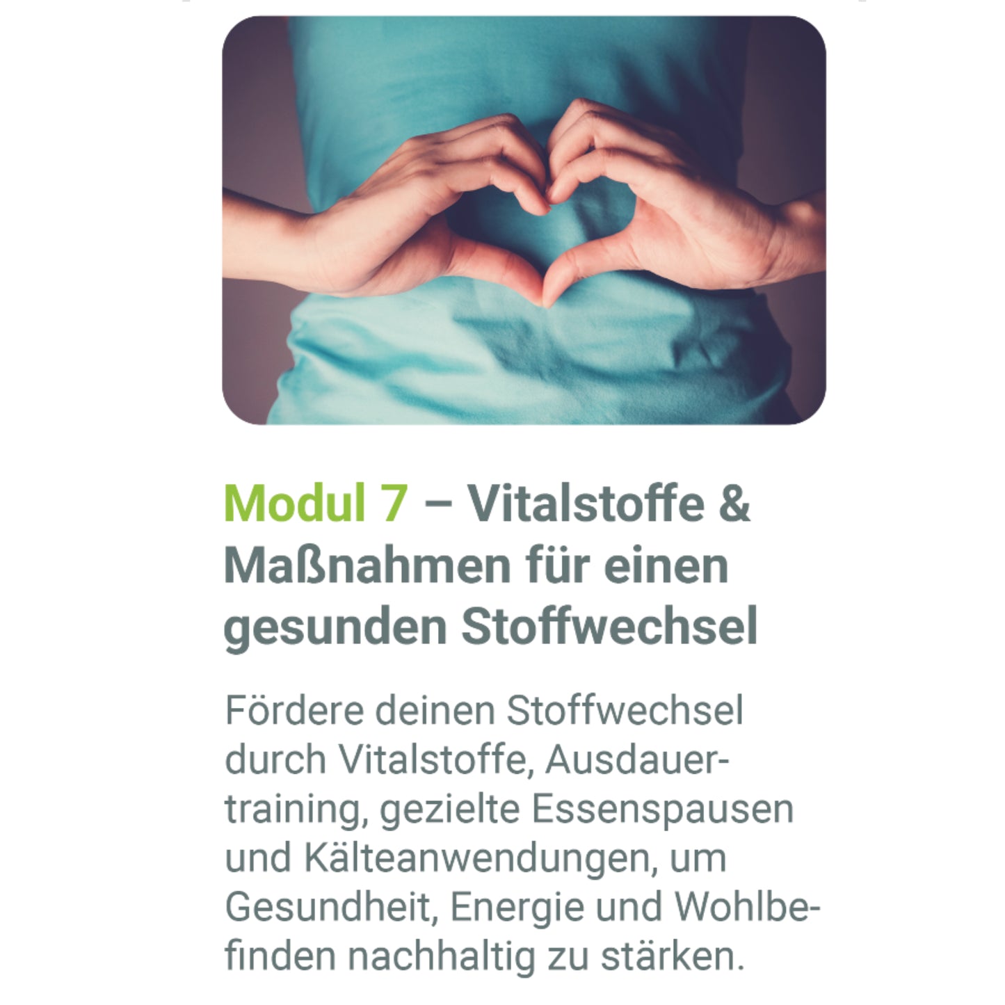 ErnährungsBASICS Onlinekurs – Zertifizierter 8-Wochen Präventionskurs (Krankenkassen-Erstattung)